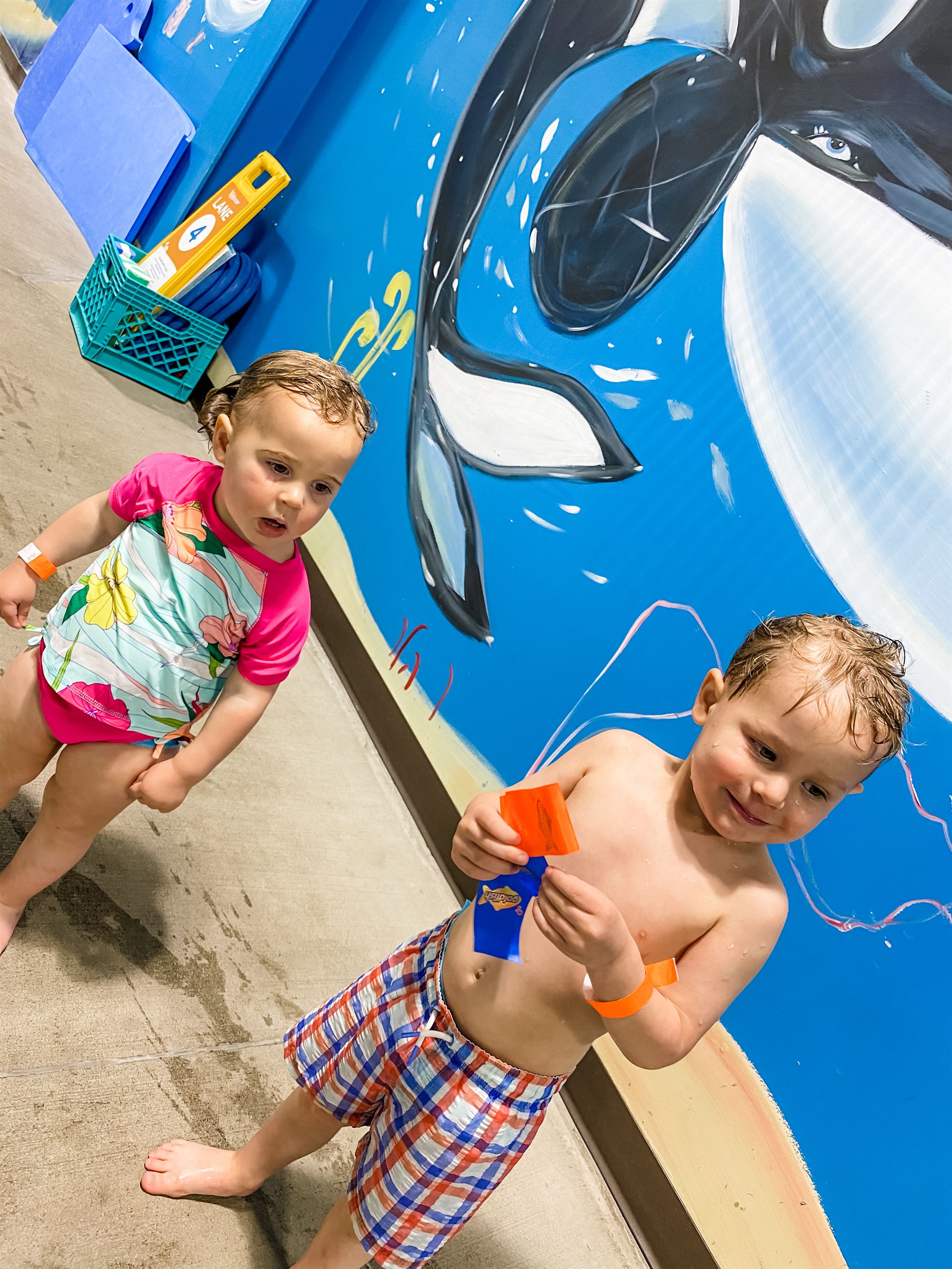 goldfish swim school