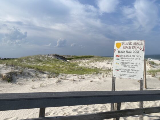 island beach parks south jersey mom