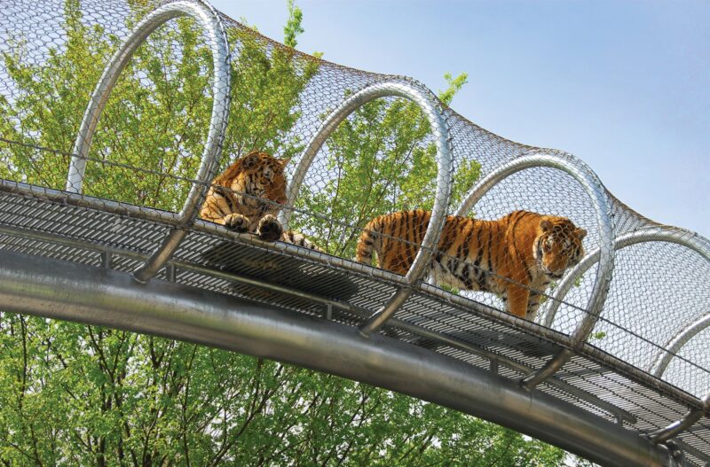 family friendly things to do in Philadelphia Zoo