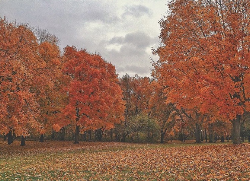 Monmouth Battlefield State Park fall colors in New Jersey nj mom