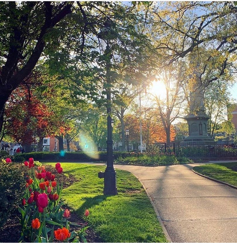 morristown nj downtown best towns in New Jersey nj mom