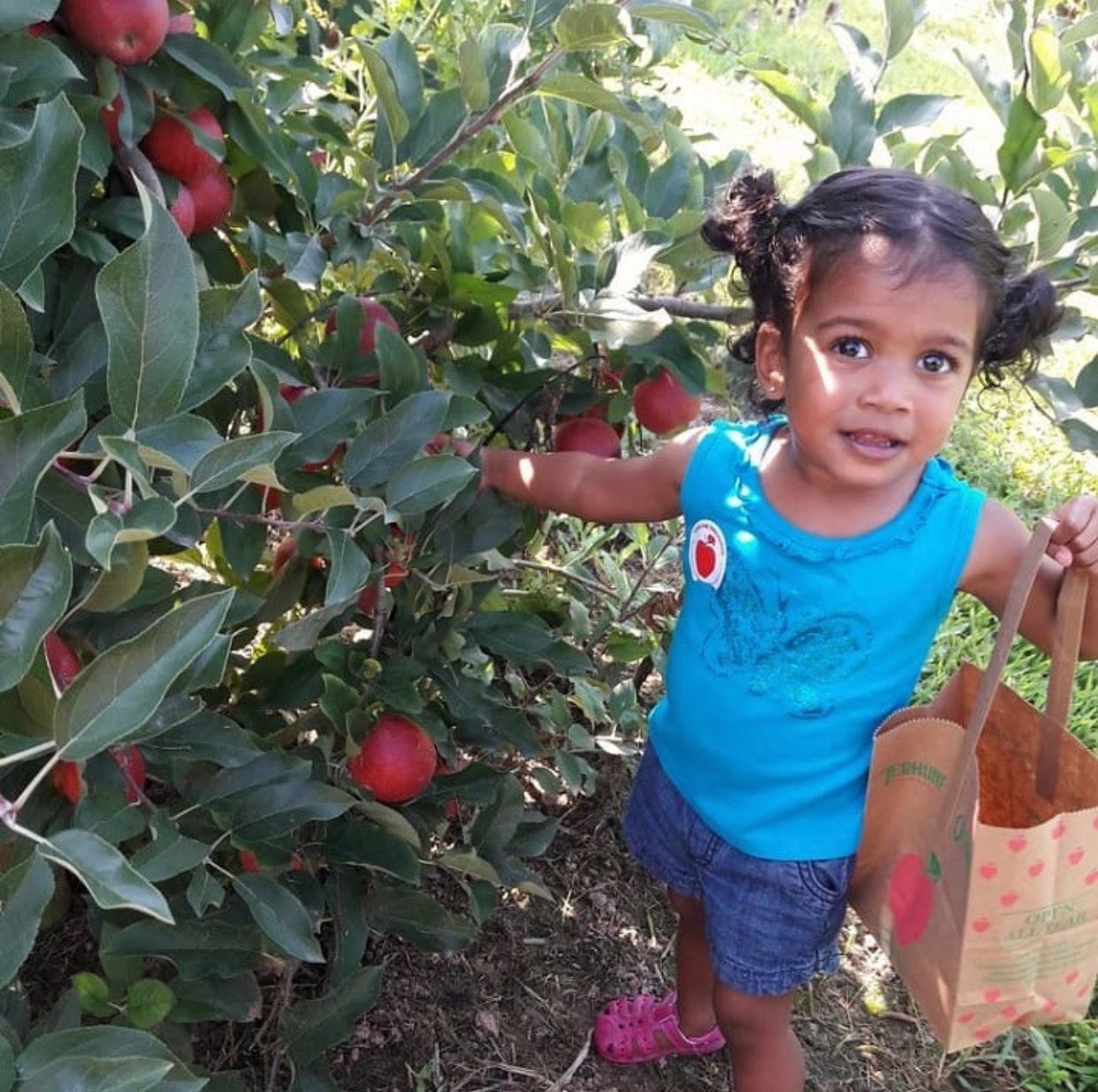 nj mom apple picking in NJ season apple farm new jersey