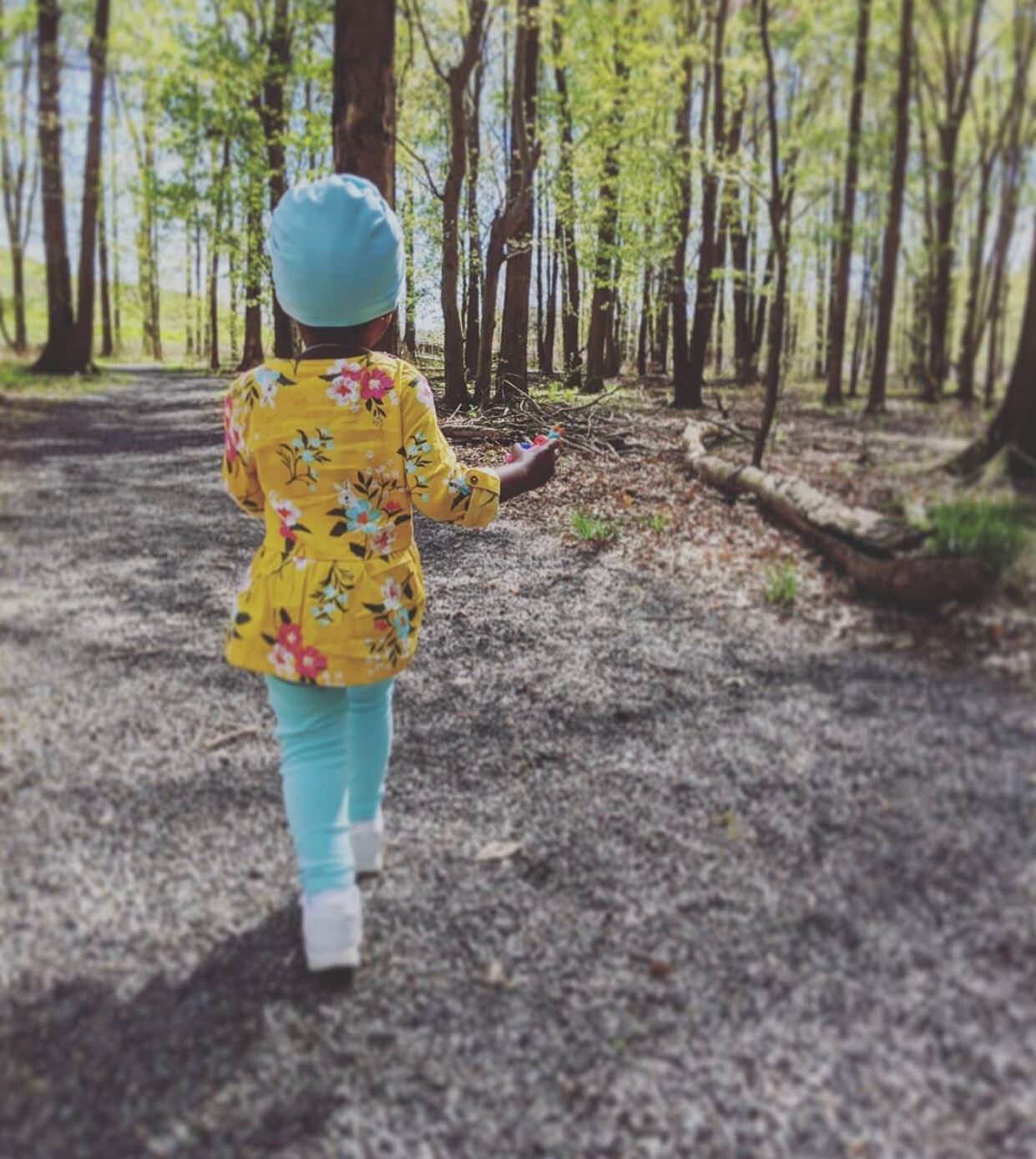 hiking in nj Hawk Rise Sanctuary nj mom