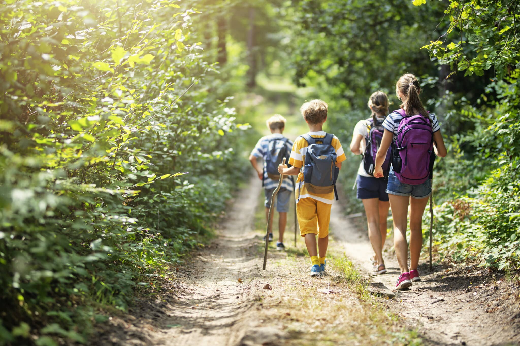 hiking trails in nj backpack nj mom