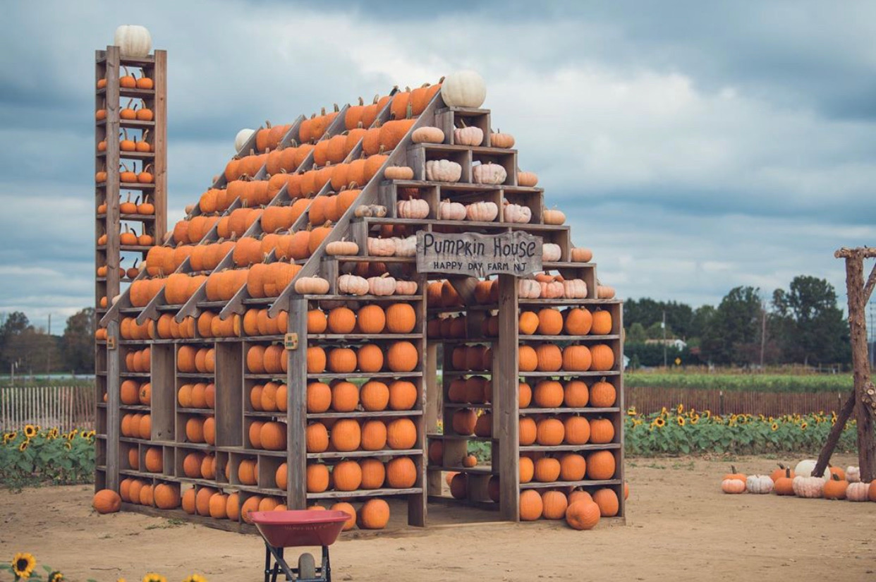 nj mom best pumpkin picking in nj pumpkin patch nj pumpkin farm new jersey