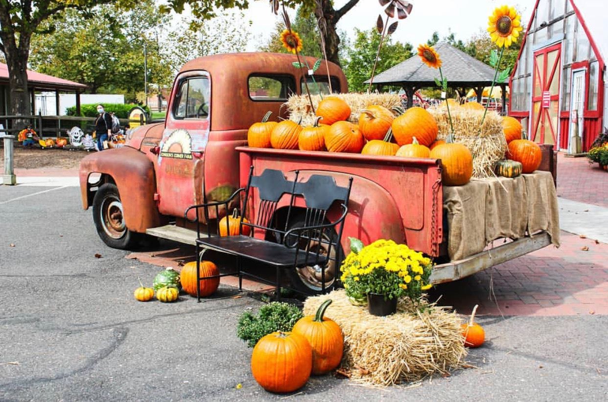 fall activities in NJ nj mom