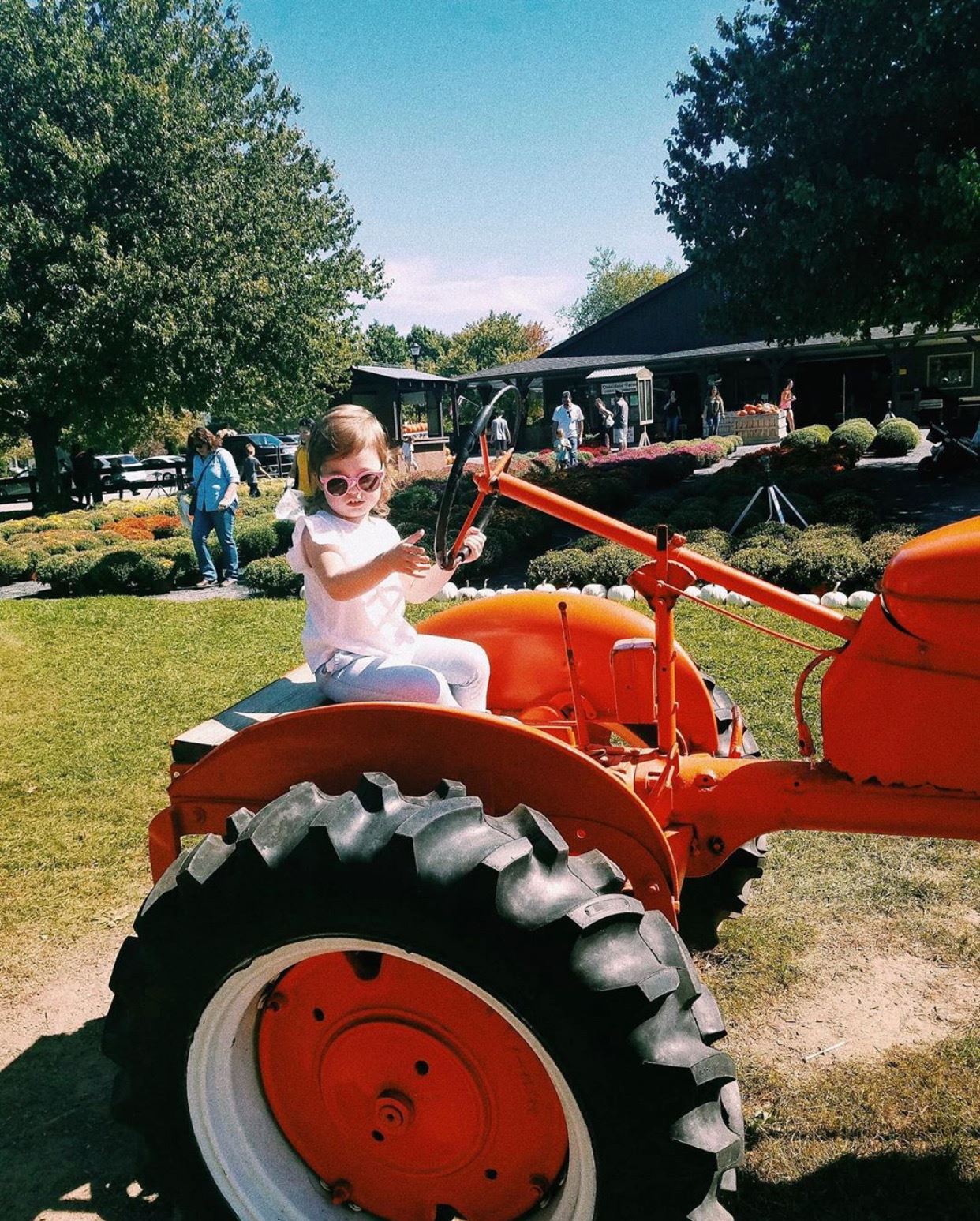 fall festivals in nj fall New Jersey nj mom