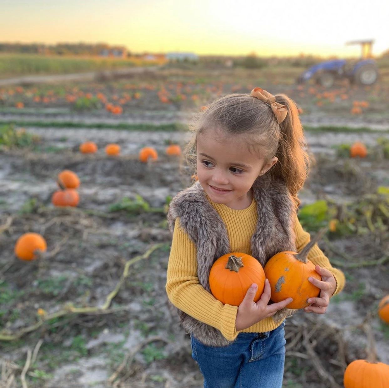 nj mom best pumpkin picking in nj pumpkin patch nj pumpkin farm new jersey