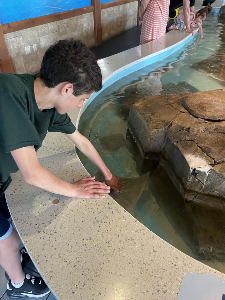 nj mom turtle back zoo west orange new jersey alligator nj mom
