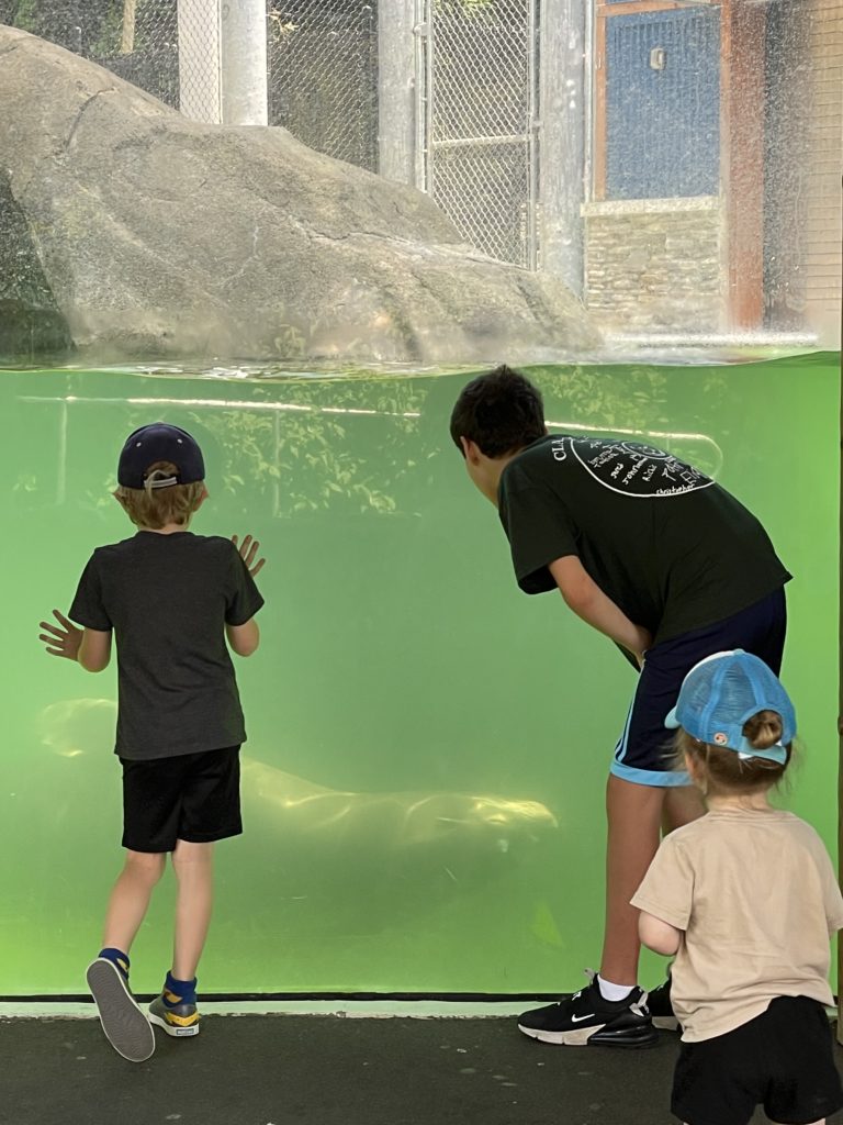 nj mom turtle back zoo west orange new jersey sea life nj mom