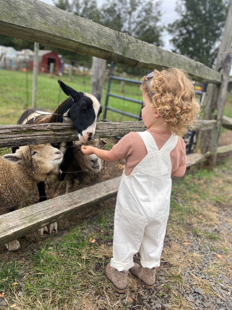 Atlantic Farms NJ