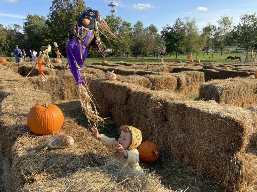 Atlantic Farms maze New Jersey nj mom
