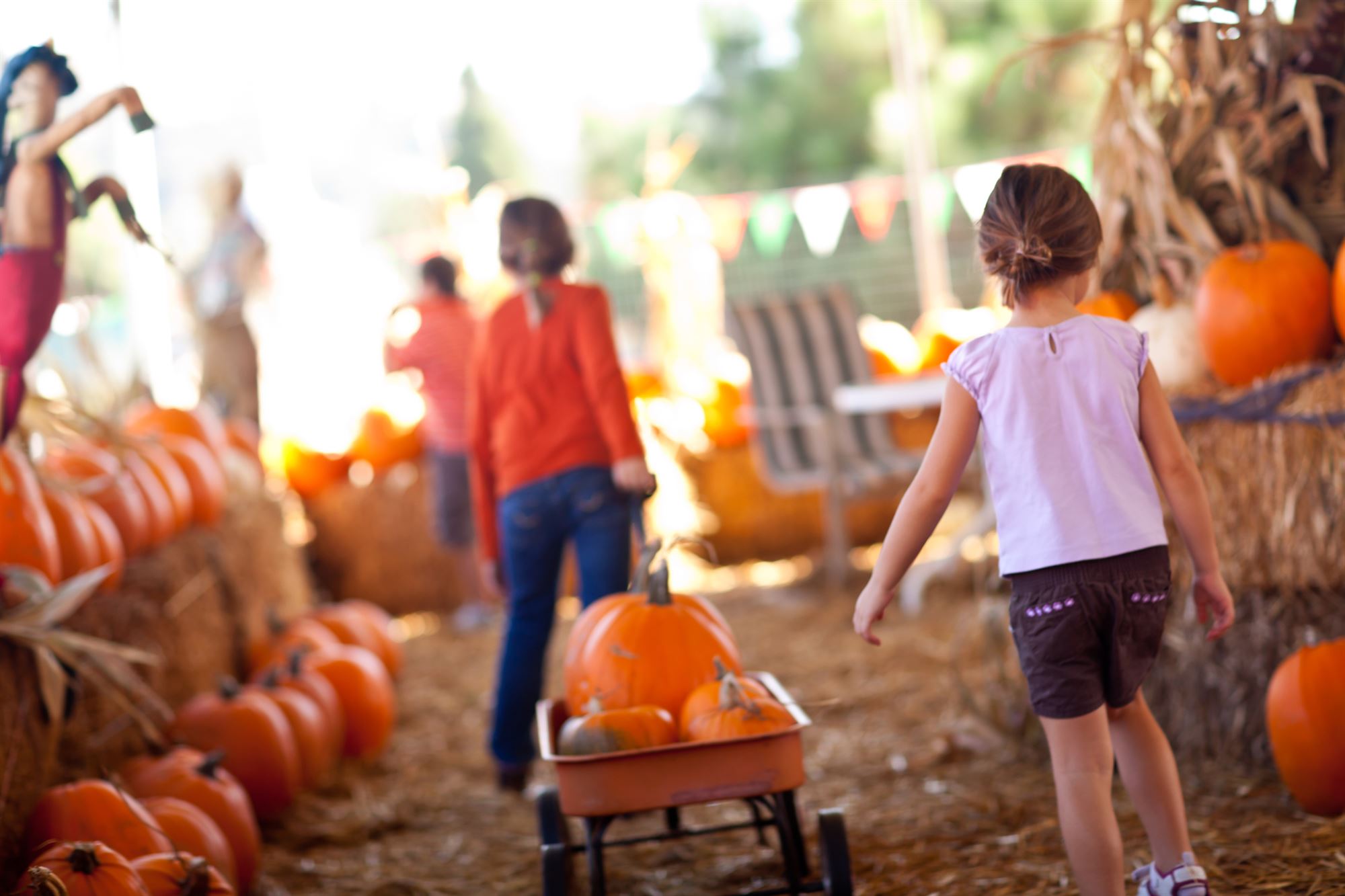 pumpkin picking in NJ New Jersey nj mom