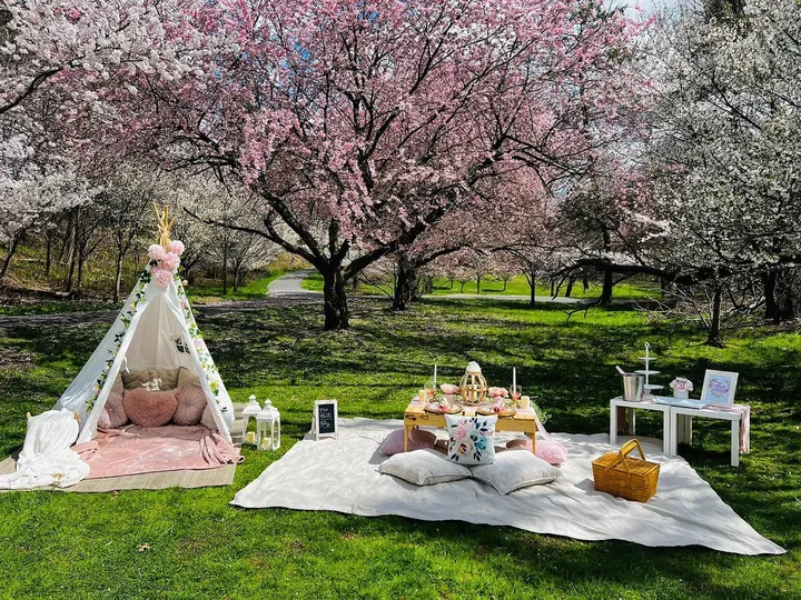 luxury picnics nj nj mom
