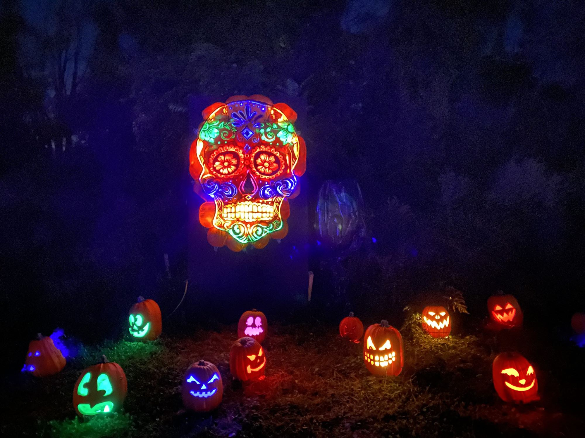 skylands stadium jack o'lantern experience day of the dead New Jersey nj mom