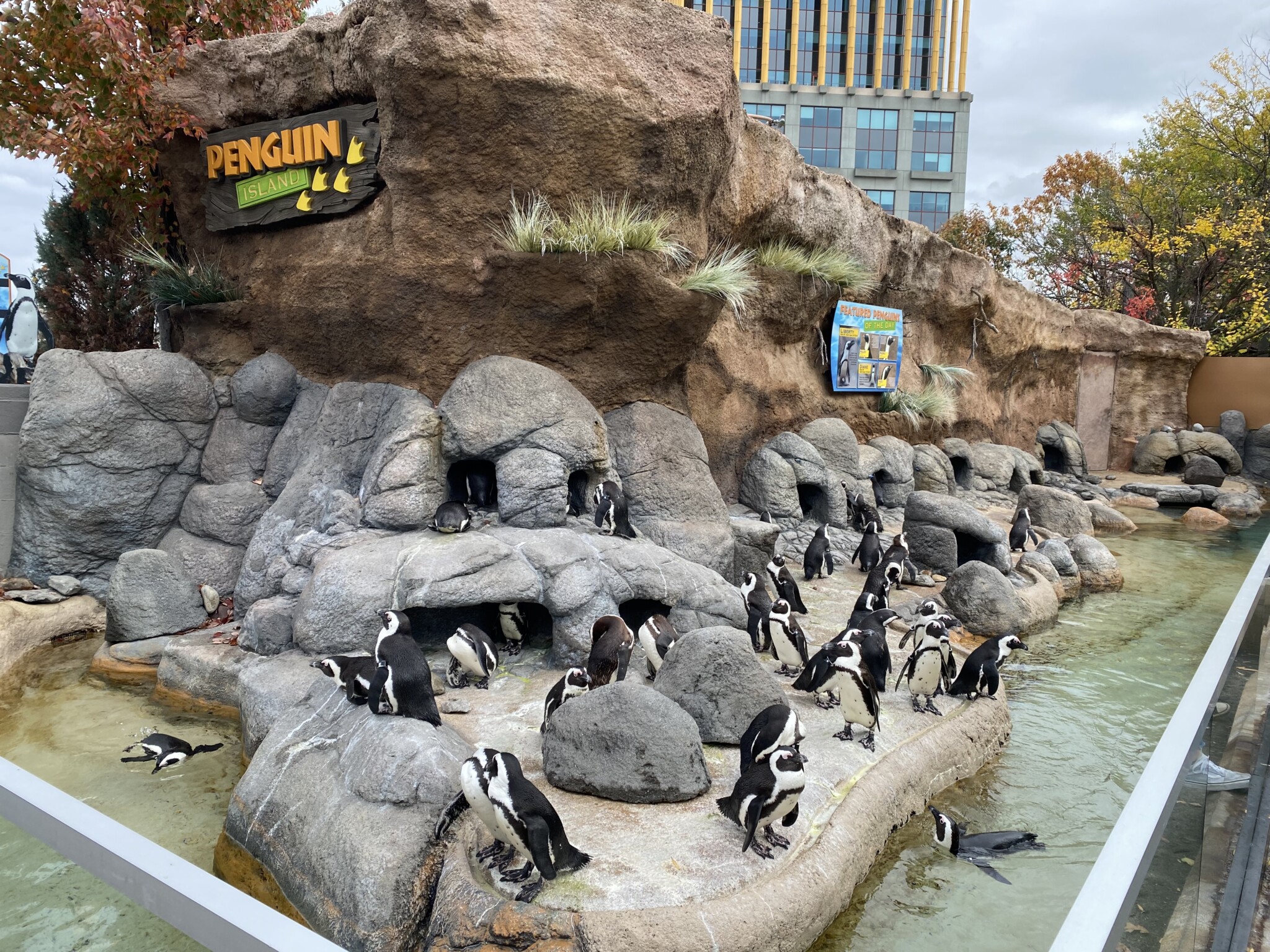 things to do in south jersey adventure aquarium nj mom