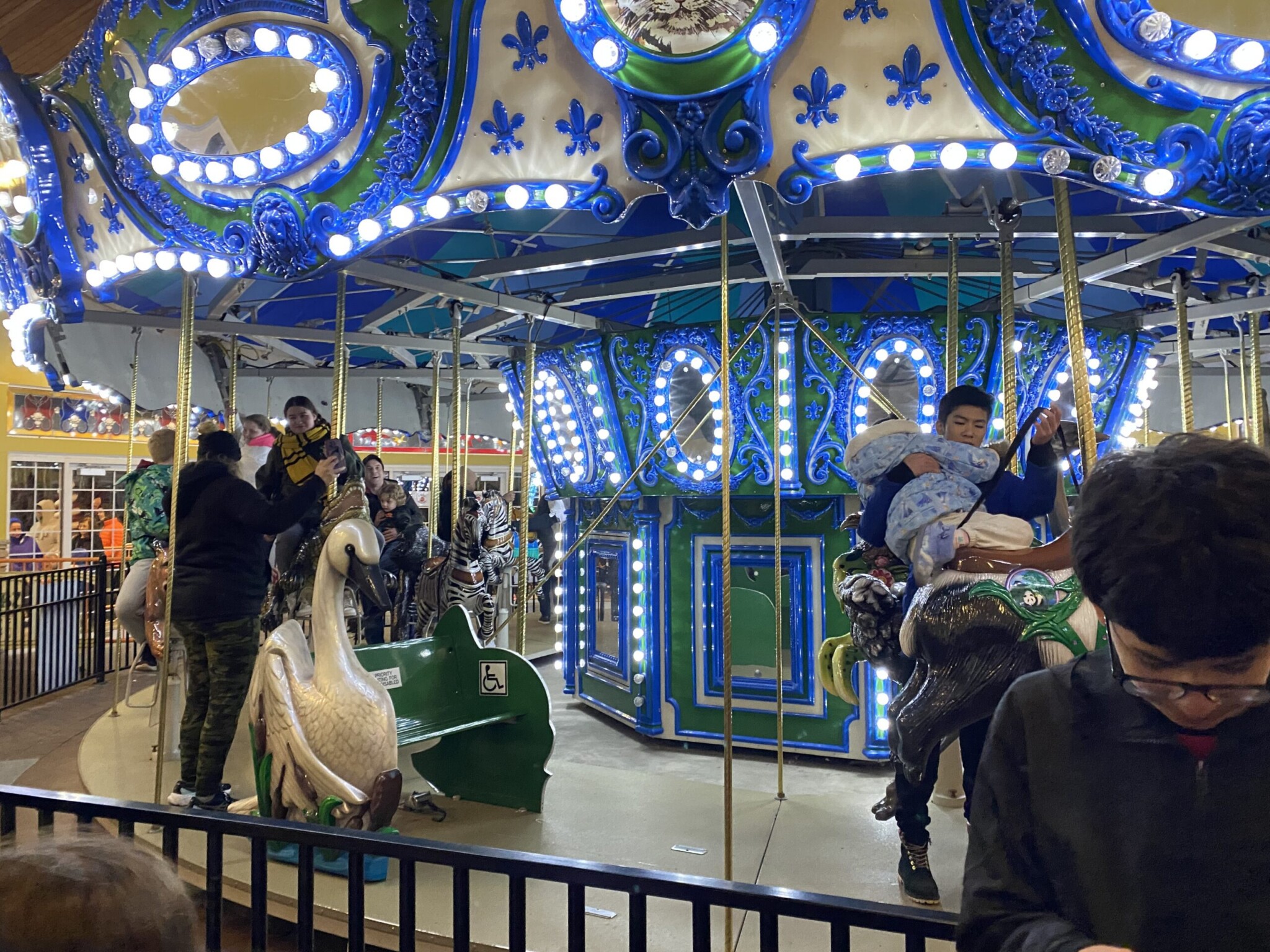 turtleback zoo carousel nj mom