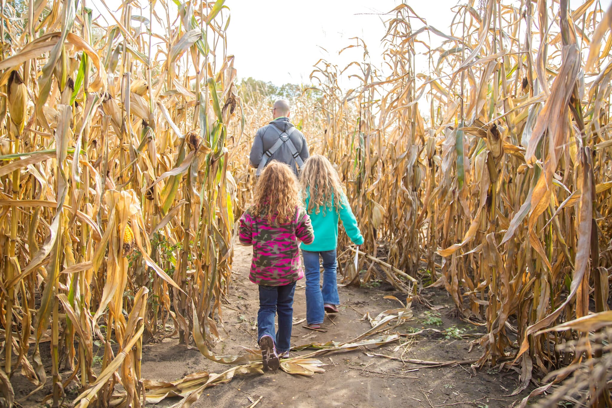 corn mazes in New Jersey von thun